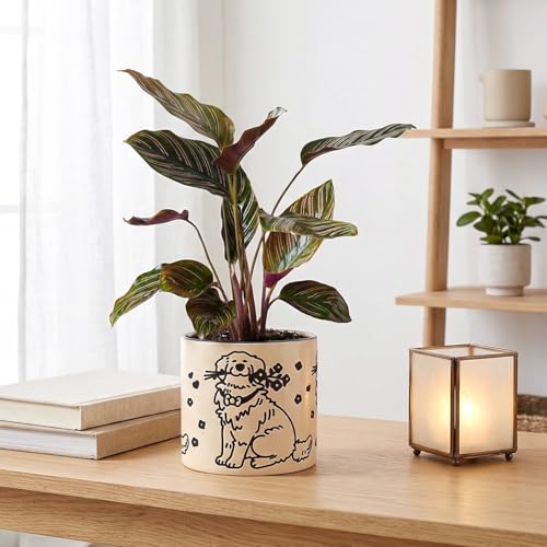 STHIE Ceramic Planters with Drainage Holes, 5 Inch Pots for Indoor Plants - color: Cy-goldflower02