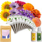 inbloom Fragrant Bouquet Seed Pod Kit for AeroGarden, iDoo, Ahopegarden, GARDENCUBE, 12 Pods (350+ Flower Seeds with Sunflower, Petunia, Mexican Marigold, Cockscomb, French Marigold, Dahlia) - color: Fragrant Bouquet