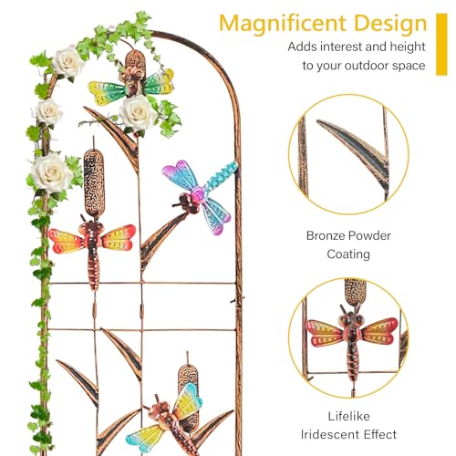 aboxoo 2-Pack Dragonfly Metal Garden Trellis for Climbing Plants