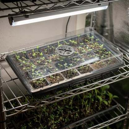 10-Pack Seed Starting Trays with Humidity Dome & Large 24-Cell 2" Plug Tray - color: Black, size: 10 Sets