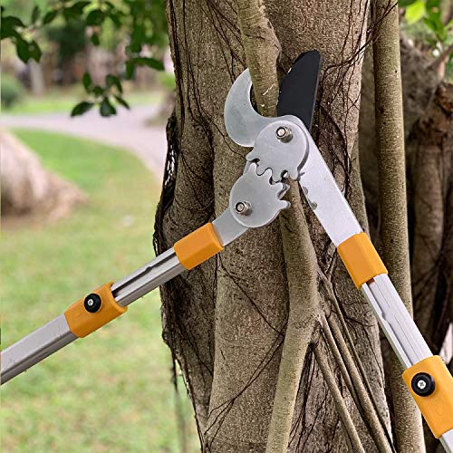 Centurion 76 Heavy Duty Bypass Lopper 1¾-inch Cut Capacity with Telescoping Aluminum Alloy Handle (Extend to 33 Inch)