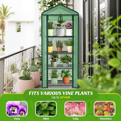 AlisisFores 4-Tier Mini Greenhouse with Durable PE Cover - style: 4-Tier