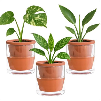 D'vine Dev Self Watering Terracotta Planter Pot, 4 in, 3-Pack, 37-Z-A-1-T - color: Terracotta