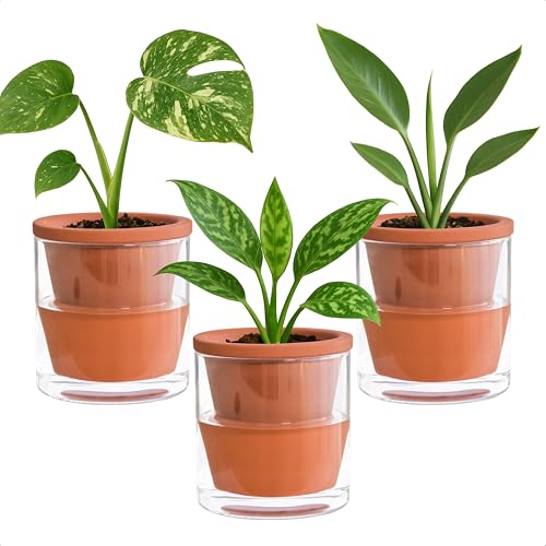 D'vine Dev Self Watering Terracotta Planter Pot, 4 in, 3-Pack, 37-Z-A-1-T - color: Terracotta