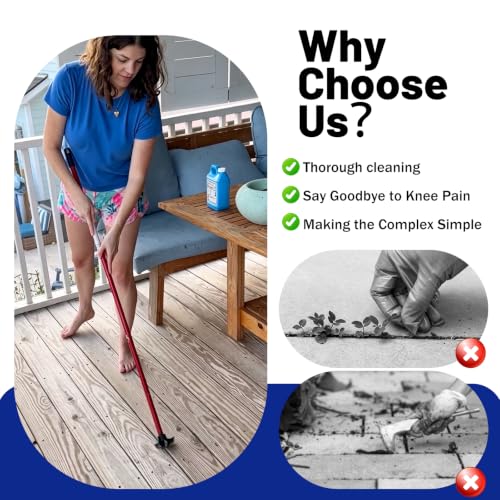 Crevice Cleaning Tool, Crack Weeder Crevice Weeding Tool, 3-Pcs