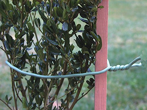Luster Leaf Rapiclip Light Duty Soft Wire Tie 839-2 Pack (2)