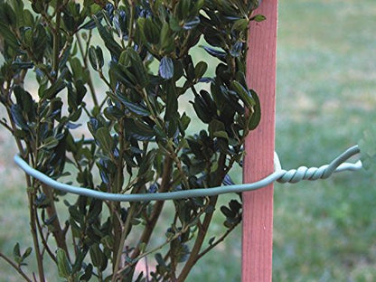 Luster Leaf Rapiclip Light Duty Soft Wire Tie 839-2 Pack (2)