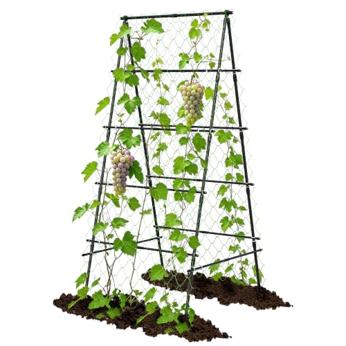 AlisisFores A-Shape Garden Trellis for Climbing Plants, Black - size: 6’