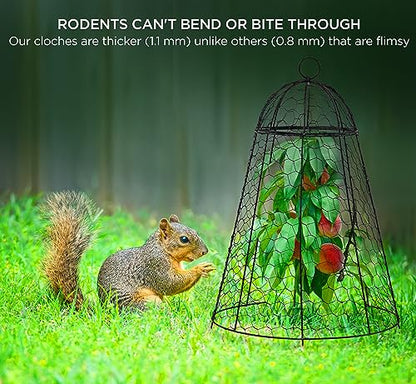 Garden Cloches for Plant Protector from Animals Chicken Wire Cages Outdoor - size: Set of 12 (18 inch high)