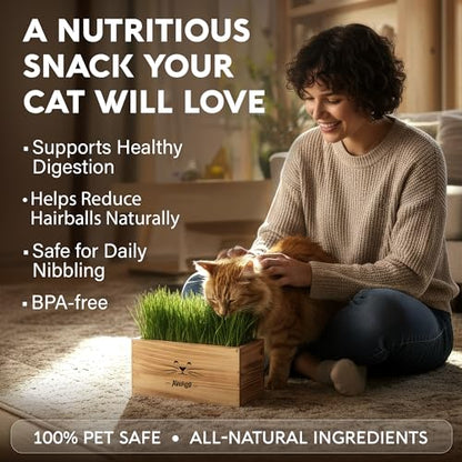 Cat Grass Kit for Indoor Cats – x4 Seed Packets