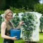 Fruit Tree Netting with Drawstring (4 Pack 4x5 FT)- Easy Install Plant Protection Cover, Reusable Garden Mesh Bag for Blueberry Bushes/Tomato - Block Birds/Insect/Squirrels - size: 4x5 FT