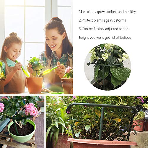Mwellewm Plant Stakes Small Plant Supports for Indoor Plants Holder Sticks - size: 5.7 x 9.8inch