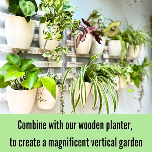 LaLaGreen Self-Watering Wall Planters (4in, 10 Pack) White Indoor Plants - size: 4" (10 cm)