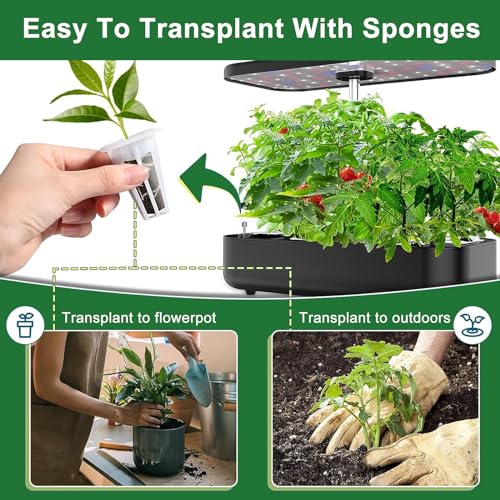 61 Pack Grow Sponges, Replacement Root Growth Sponges Seed Pods Compatible with AeroGarden, Compatible with Hydroponics Growing System Kit, Includes 10 Plant Labels and 1 Tweezers