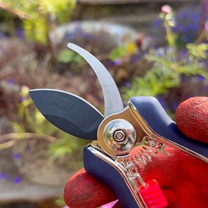 Spear & Jackson Razorsharp Mini Pruner Set for Small Garden Tasks and Bonsai Care, 2 Piece Precision Compact Lightweight Ergonomic Pruning Shears - style: Mini Pruner Set