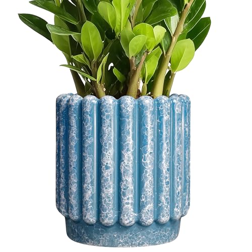 Ceramicfor Ceramic Planter, 7.6 Inch, Blue - color: Sky Blue, size: 7.6 Inch