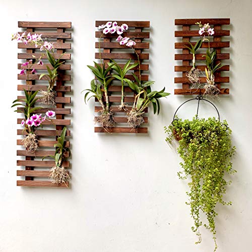 ShopLaLa Wall Planter (3 Pack) Wooden Hanging Planter for Indoor Plants - size: 3-pc set