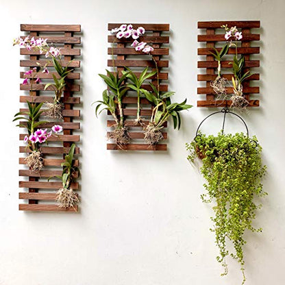 ShopLaLa Wall Planter (3 Pack) Wooden Hanging Planter for Indoor Plants - size: 3-pc set
