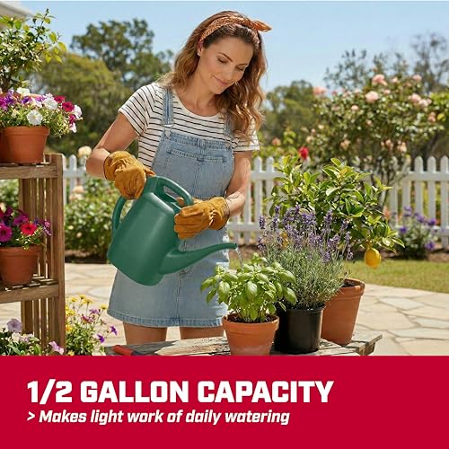 CHAPIN 48005 1/2-Gallon Watering Can, Easy-Pour Dual Handle Design - style: 0.5 Gallons, Green