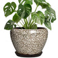 Ceramic Plant Pots, 8 Inch Planters Indoor, White Leopard - color: White Leopard, size: 8 Inch