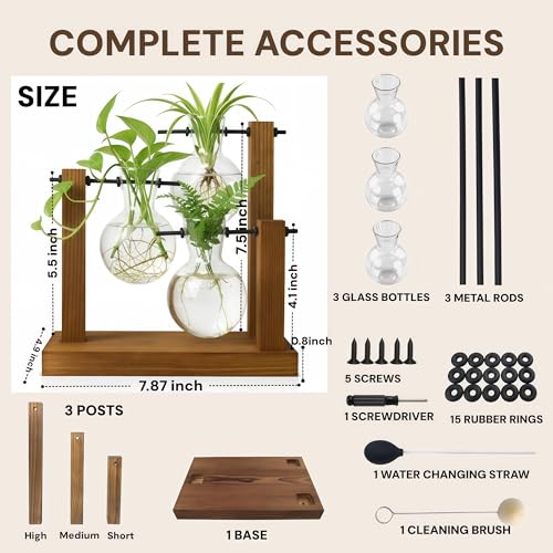 Plant Propagation Station, Wooden Stand with 3 Glass Vases