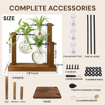 Plant Propagation Station, Wooden Stand with 3 Glass Vases