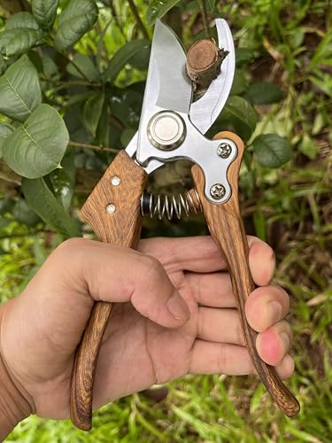 Pruning shears for gardening, Floral cutter, German Stainless Steel Blades, 1 inch Cut Capacity, Garden Snips for flowers with Non-Slip Handle, Lightweight & Ergonomic Professional