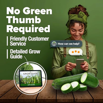 HOME GROWN Luffa Loofah Gourd Seeds, 80+ Seeds, Luffa aegyptiaca