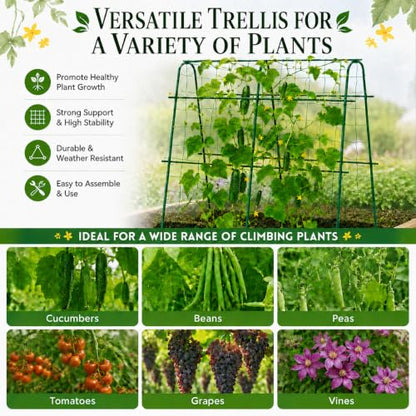 FOLLOOK Cucumber Trellis for Raised Garden Bed, 48x48inch, Green