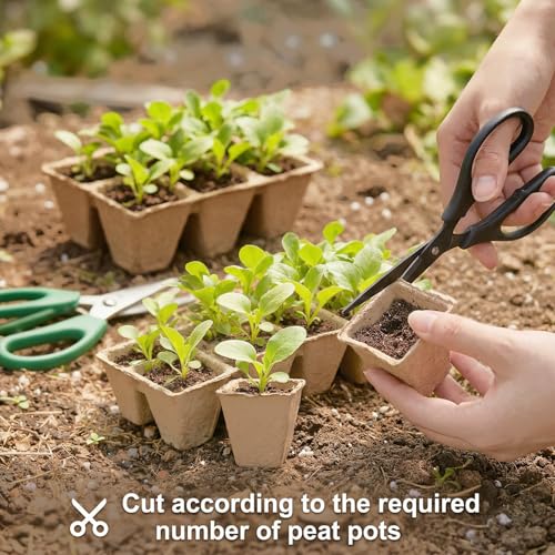 Prudiut 144 Cells Seed Starter Tray, 12 Pack Biodegradable Peat Pots Kit