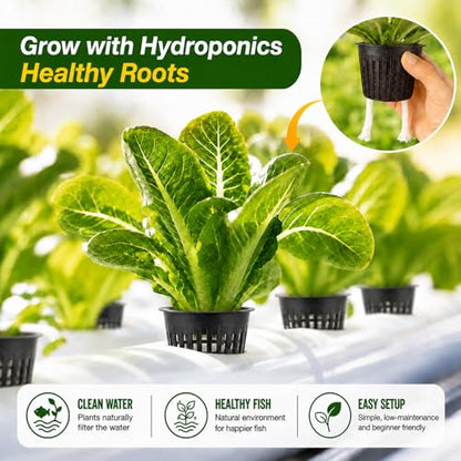 Net Cups Hydroponics 24 Pack, 3 Inch Mesh Pots with Wick Cord - color: Blacks