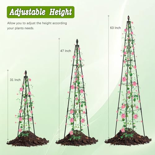 AlisisFores Garden Trellis, 63 inch Tall, 2 PCS