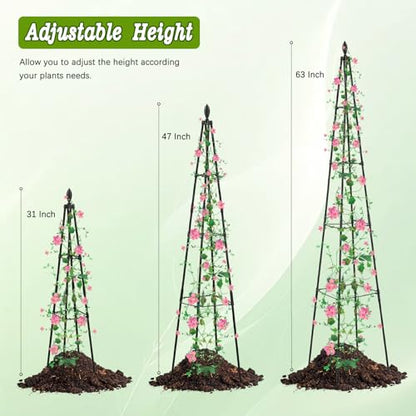 AlisisFores Garden Trellis, 63 inch Tall, 2 PCS