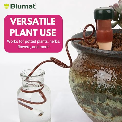 Blumat Classic XL Self-Water Stakes for Indoor Plants - 2 Pack - for Indoor - size: 2 Pack