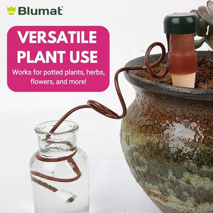 Blumat Classic XL Self-Water Stakes for Indoor Plants - 2 Pack - for Indoor - size: 2 Pack