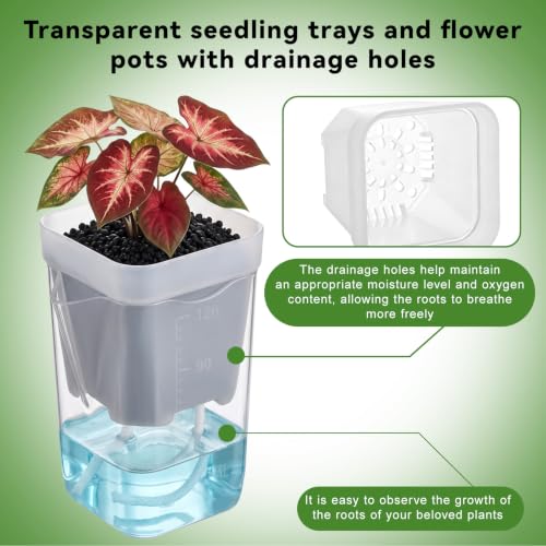 20 Pack 2 Inch Small Self Watering Pots for Indoor Plants - size: 2in