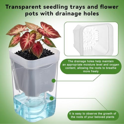 20 Pack 2 Inch Small Self Watering Pots for Indoor Plants - size: 2in