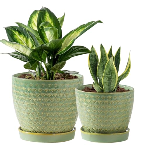 Plant Pots, Flower Pots, Planters for Indoor Plants(6.5+5.5inch), Flower Pots for Indoor Plant with Drainage Hole and Saucer, Ceramic Pots for Plants with Hole Mesh Pad,Sage Green - color: Sage Green