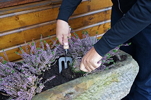 Tierra Garden Dewit Welldone Handfork