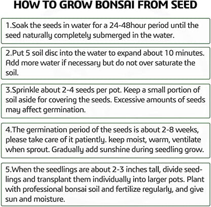 Meekear 5 Bonsai Tree Kit Complete Plant Growing Tools, Grow in Pot Indoor Bonsai Tree Starter Kit, Great Home Gardening Potted Plants DIY Gift for Adults