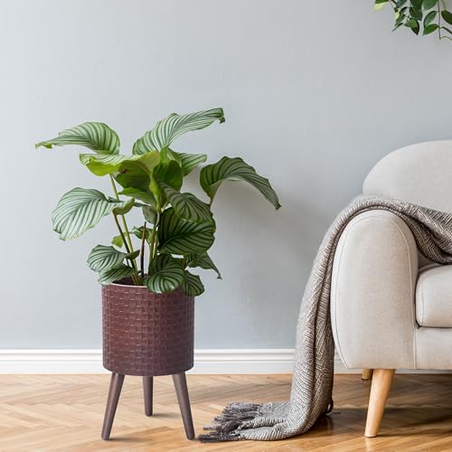 D'vine Dev Planter Pot with Wood Stand, 10 in, Espresso, 88-Z-B-6 - color: Espresso, size: Medium