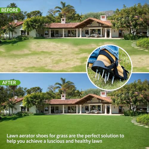 Lawn Aerator Shoes Pre‑Assembled with Secure Dual Instep Straps for Lawn - color: Black