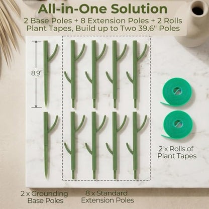 Heavy-Duty Monstera Plant Support Stakes - 10-Piece Stackable Sticks