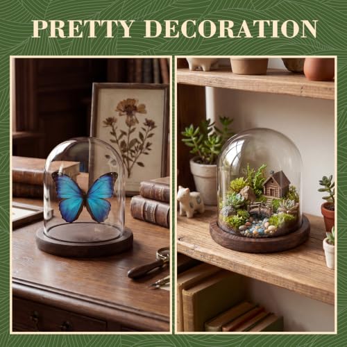 Suclain 4Pc Glass Dome Cloche with Wood Base, Brown, 4.3" X 3.8" - color: Brown, size: 4.3" X 3.8"