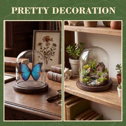 Suclain 4Pc Glass Dome Cloche with Wood Base, Brown, 4.3" X 3.8" - color: Brown, size: 4.3" X 3.8"