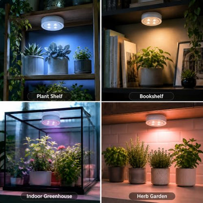 3 Pack Rechargeable Grow Light for Indoor Plants, Cordless Plant Lights
