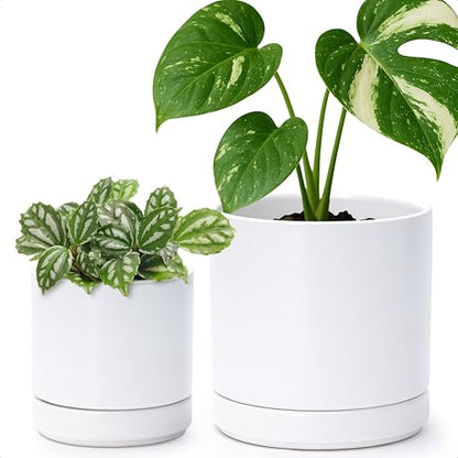 D'vine Dev 2-Pack Ceramic Pots with Saucers, White, 4/6 in, 94-G-S-1 - color: White, size: Small