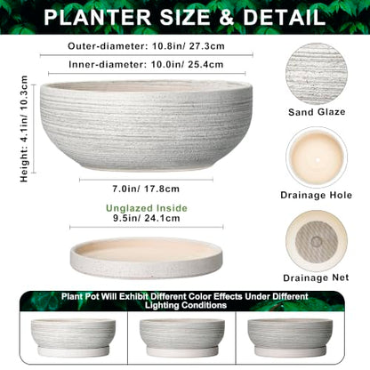 10 Inch Ceramic Bonsai Tree Pots with Saucer, Brushed Grey - color: Brushed Grey, size: 10 Inch
