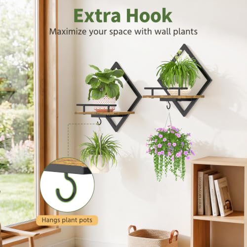 LASZOLA Plant Picture Frame Holder Shelf Wall Window Indoor, 2 Pcs Brown - color: Antique Black+Brown, size: 2