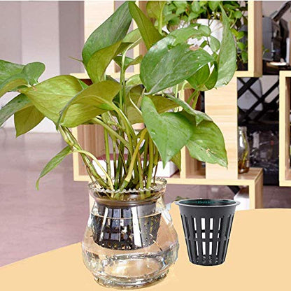 100PCS 2 Inch Garden Slotted Mesh Net Cups, Round Heavy Duty Net Cups Pots for, Hydroponics Slotted Mesh… - size: 2 inch Net Pots - 100 pack